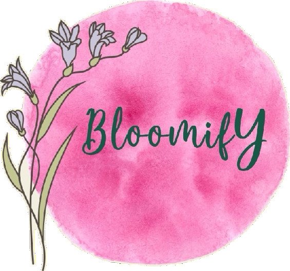 Bloomify Fashions (Clothing store)